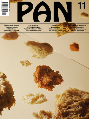 cover image of PAN 11